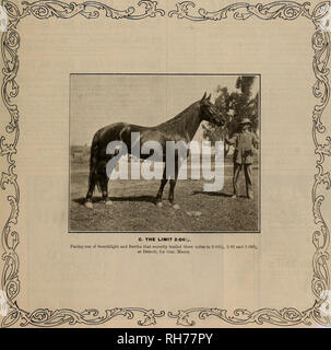 . Allevatore e sportivo. I cavalli. VOLUME LIX. Ne. 3. SAN FRANCISCO, sabato 15 luglio, 1911. Abbonamento-J3.00 per anno.. Si prega di notare che queste immagini vengono estratte dalla pagina sottoposta a scansione di immagini che possono essere state migliorate digitalmente per la leggibilità - Colorazione e aspetto di queste illustrazioni potrebbero non perfettamente assomigliano al lavoro originale. San Francisco, California. : [S. n. ] Foto Stock