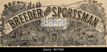. Allevatore e sportivo. I cavalli. VOLUME LI. No. 3. Sabato 20 Luglio, 1907. Abbonamento-?3,00 all'anno. Si prega di notare che queste immagini vengono estratte dalla pagina sottoposta a scansione di immagini che possono essere state migliorate digitalmente per la leggibilità - Colorazione e aspetto di queste illustrazioni potrebbero non perfettamente assomigliano al lavoro originale. San Francisco, California. : [S. n. ] Foto Stock