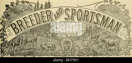 . Allevatore e sportivo. I cavalli. VOLUME XLIX. No. 4 Sabato, Agosto 18, 1906 Abbonamento $3.00 un anno -&lt;S "T. Si prega di notare che queste immagini vengono estratte dalla pagina sottoposta a scansione di immagini che possono essere state migliorate digitalmente per la leggibilità - Colorazione e aspetto di queste illustrazioni potrebbero non perfettamente assomigliano al lavoro originale. San Francisco, California. : [S. n. ] Foto Stock