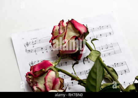 Foglio di musica e di morti di rose. L'idea del concetto per amore della musica, per il compositore, ispirazione musicale. Foto Stock