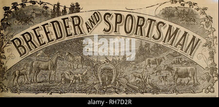 . Allevatore e sportivo. I cavalli. VOL XL n. 10. 36 Geary Street di San Francisco. Sabato 8 marzo, 1902. SlS^^^f abbonamento tre dollari l'anno. Si prega di notare che queste immagini vengono estratte dalla pagina sottoposta a scansione di immagini che possono essere state migliorate digitalmente per la leggibilità - Colorazione e aspetto di queste illustrazioni potrebbero non perfettamente assomigliano al lavoro originale. San Francisco, California. : [S. n. ] Foto Stock