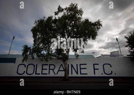 Una vista esterna dello stadio prima di Coleraine giocato Spartak Subotica di Serbia in una Europa League prima Qualifica Round seconda gamba alla Showgrounds, Coleraine. Host dall Irlanda del Nord aveva attirato la via gamba 1-1 la settimana precedente, tuttavia, il visitatore ha vinto la gara di ritorno 2-0 al progresso di affrontare lo Sparta Praga nel prossimo round, guardato da un sell-out folla di 1700. Foto Stock