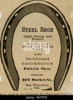 . Allevatore e sportivo. I cavalli. Tutti i librai e 3 California San, S. F. R. LIDDLE &AMP; figlio 538 Washington St, S. F., Wnolesale e rivenditori di fucili e pistole. Una linea completa di attrezzatura da pesca e sportivo di merci. Gli ordini da mall ricevere attenzione immediata. W. H. WOODRUFF. Dentista veterinario, al maneggio di moda, 221 Ellis Street, San Francisco migliorati strumenti, metodi umanitari. Prima-   il lavoro in classe. H. E. CARPENTER, veterinario, Gradnate di Ontario Veterinary College, Toronto Uanada. RESIDENCE E INFERMERIA VETERINARIA 331 Golden Gate Ave, San Francisco. Il telefono 3 Foto Stock