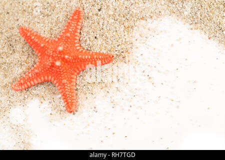 Starfish su un mucchio di sabbia vicino fino Foto Stock