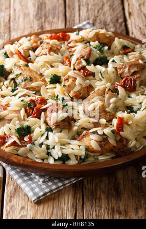 Deliziosi piatti di pasta italiana orzo con fritto di pollo, pomodori secchi, spinaci e formaggio closeup su una piastra sul piano verticale. Foto Stock