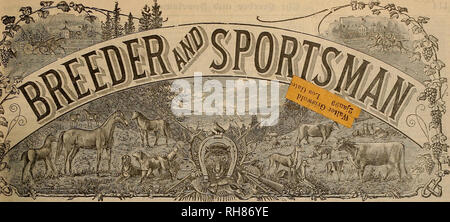 . Allevatore e sportivo. I cavalli. Vol. XXXII. No. 6. No. 313 BUSH STKEET. SAN FRANCISCO, sabato 19 febbraio, 1898. Abbonamento tre dollari all anno DIRECTUM! Il trotto re ho uno schizzo di ciò che egli ha compiuto. È la fortuna dell'allevamento dei cavalli e interessi della costa del Pacifico per avere Directum, il trotto re di tutti stalloni e il racing re di tutti i cavalli del cablaggio, torna alla sua vecchia casa di nuovo per la stagione di 1S98. Per un periodo di cinque anni a questo vortice nero della via ha indossato lo stallone crown; ha vinto come un quattro-anno-vecchio. Come un cavallo rtice fu unapproached e unapproachab Foto Stock