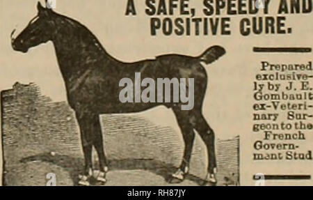 . Allevatore e sportivo. I cavalli. Gennaio 20, 1900] ©it* gw&amp;btv &LT;mh §pmt#m&lt;xn* 35 Eclipse linea maschile. Statistiche del 1899 dimostrano che è in testa. La questione della superiorità del maschio di linee di Eclipse, Erode e Matchem è una volta di più alla ribalta, se in- andando, si può dire che sia mai stata relegata a qualcosa di simile sullo sfondo. Tuttavia molte di queste discussioni può a volte si allontanano da il vero percorso che mi prende per essere che dei benefici reali per l^purosangue delle corse ippiche, essi sono onu- deniably interessante, Dot per dire importante e certamente spetta il costitutore, proprietario Foto Stock