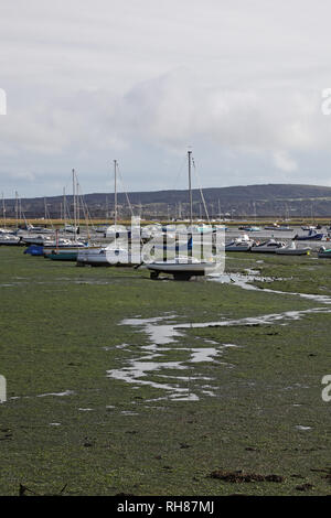 Barche nel porto di Keyhaven New Forest National Park Hampshire REGNO UNITO Inghilterra Settembre 2012 Foto Stock