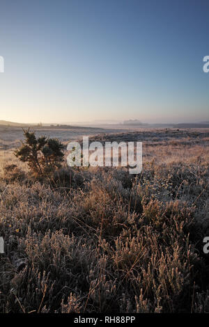 Frosty sunrise sulla brughiera Strodgemoor Fondo e gru Moor NNR New Forest National Park Hampshire England Regno Unito Foto Stock