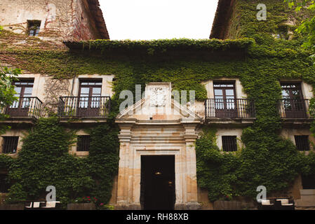 Bella facciata di edificio vintage verde con piante che crescono sulle pareti Foto Stock