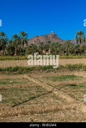 Antiche case di fango, Najran provincia Najran, Arabia Saudita Foto Stock