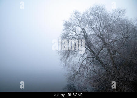 Un terribilmente freddo inverno mattina a Colwick Park di NOTTINGHAM, NOTTINGHAMSHIRE REGNO UNITO Inghilterra Foto Stock