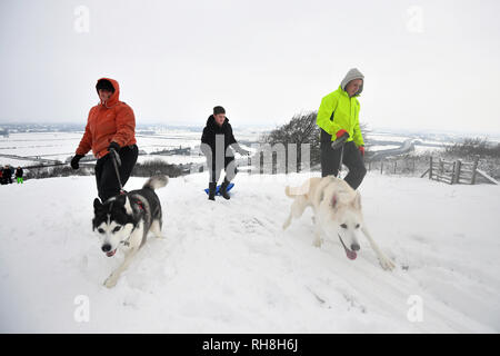 Dog walkers in Aston Rowant Riserva Naturale Nazionale in Chilterns scarpata, nell'Oxfordshire. Neve e ghiaccio sono attesi causare diffusa interruzioni di viaggio dopo che le temperature sono crollati come basso come meno 15,4 C (4.3F) per tutta la notte. Foto Stock