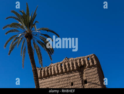 Traditional old mud house and a plam tree against blue sky, Najran Province, Najran, Saudi Arabia Foto Stock