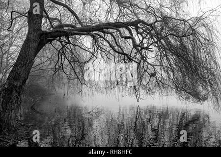 Un terribilmente freddo inverno mattina a Colwick Park di NOTTINGHAM, NOTTINGHAMSHIRE REGNO UNITO Inghilterra Foto Stock