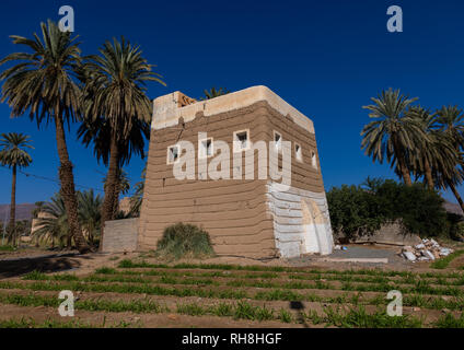 Tradizionale casa di fango, Najran provincia Najran, Arabia Saudita Foto Stock