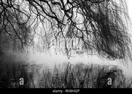 Un terribilmente freddo inverno mattina a Colwick Park di NOTTINGHAM, NOTTINGHAMSHIRE REGNO UNITO Inghilterra Foto Stock