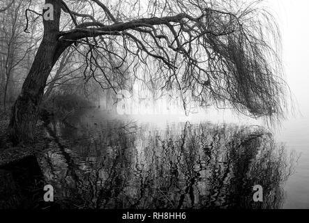 Un terribilmente freddo inverno mattina a Colwick Park di NOTTINGHAM, NOTTINGHAMSHIRE REGNO UNITO Inghilterra Foto Stock