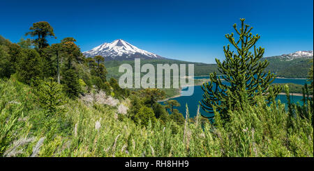 Vulcano Llaima in Conguillio Parco Nazionale Foto Stock