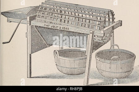 . Bracy del manuale di patate 1895 : scelta nord-coltivate patate da semina una specialità. Semi di patate cataloghi; attrezzature da giardinaggio e fornisce cataloghi; cataloghi commerciali nello Stato di New York) Ogdensburg. E. M. BRACY del catalogo di patate. 23 LA PATATA HOOVER selezionatrice è appena di che cosa avete bisogno per lo smistamento e la germogliazione le patate in una sola operazione.. Con questa macchina, che pesa meno di 100 libbre, due uomini e un ragazzo, possono ordinare e mettere nel carro da 80 a 100 bushel l'ora. Le patate passano dalla tramoggia nel cilindro, che dovrebbe essere girato molto lento da un molto lazy boy. Fargli prendere decaye Foto Stock