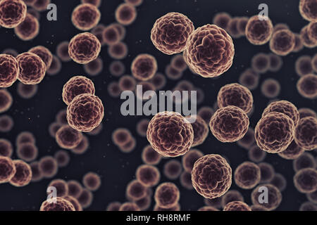 Gruppo di cellule cancerose in un microscopio Foto Stock