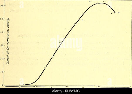 . Botanisk tidsskrift. La botanica; piante; piante. - 247 - saranno in tutto il proporzionale alla materia secca dell'impianto. E da quando una parte del nuovo costruito la materia è usato più per la formazione dello stelo e la radice, che consuma argomento invece di produrre la sostanza secca della pianta aumenta più lentamente. Come un dato di fatto, la forma della curva dal 6 Giugno al 20 luglio è quasi rettilineo. Nella prima parte del mese di agosto le foglie vengono persi. Quindi la produzione di materia cesserà e, come si può vedere dalla curva, il contenuto di materia secca della pianta diminuirà, parzialmente. Maggio Giugno Luglio Agosto Foto Stock