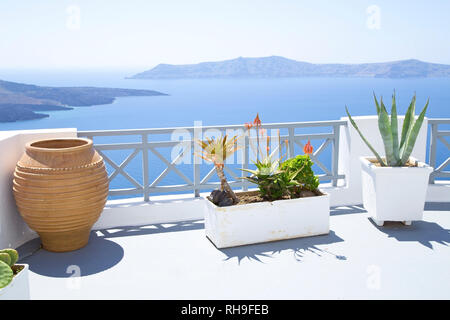 Terrazza con i fiori mediterranei sull isola di Santorini Foto Stock