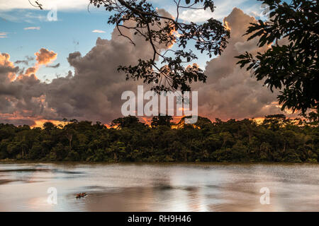 Tramonto sul lago Sandoval, Amazzonia peruviana Foto Stock