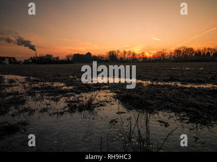 In inverno il paesaggio sunrise nella foresta con un campo congelati in primo piano nella Bassa Austria Foto Stock