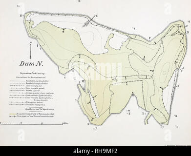 . Botanisk tidsskrift. La botanica; piante; piante. Botanisk Tidsskrift. Bind 53. Tavle III.. Si prega di notare che queste immagini vengono estratte dalla pagina sottoposta a scansione di immagini che possono essere state migliorate digitalmente per la leggibilità - Colorazione e aspetto di queste illustrazioni potrebbero non perfettamente assomigliano al lavoro originale. Botaniske forening i København. København : H. Hagerups Forlag Foto Stock