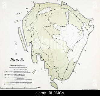 . Botanisk tidsskrift. La botanica; piante; piante. Botanisk Tidsskrift. Bind Tavle II.. Si prega di notare che queste immagini vengono estratte dalla pagina sottoposta a scansione di immagini che possono essere state migliorate digitalmente per la leggibilità - Colorazione e aspetto di queste illustrazioni potrebbero non perfettamente assomigliano al lavoro originale. Botaniske forening i København. København : H. Hagerups Forlag Foto Stock