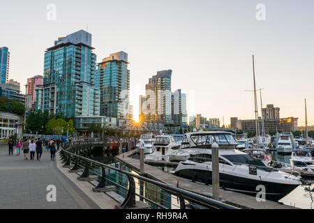 Edifici ad alta sul lungomare con marina, Coal Harbour, Vancouver, British Columbia, Canada Foto Stock