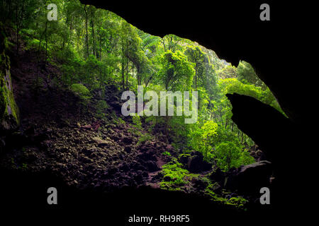 Ingresso della grotta di cervo in Gunung Mulu, Sarawak, Borneo, Malaysia Foto Stock