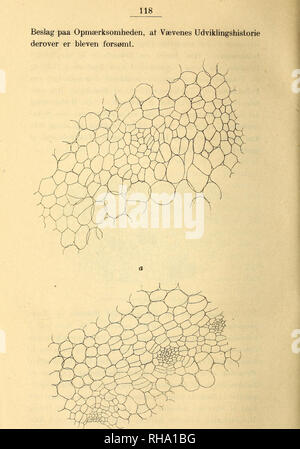 . Botanisk tidsskrift. La botanica; piante; piante. b fig. 5. Tradescantia Virginica.. Si prega di notare che queste immagini vengono estratte dalla pagina sottoposta a scansione di immagini che possono essere state migliorate digitalmente per la leggibilità - Colorazione e aspetto di queste illustrazioni potrebbero non perfettamente assomigliano al lavoro originale. Botaniske forening i København. København : H. Hagerups Forlag Foto Stock