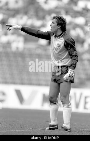 PETER SHILTON, Inghilterra e Southampton FC, , 1985 Foto Stock