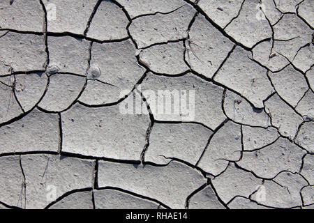 Asciugare incrinato il fango essiccato fuori laghetto / flusso causata dalla siccità prolungata dovuta a condizioni estreme di temperature estive Foto Stock