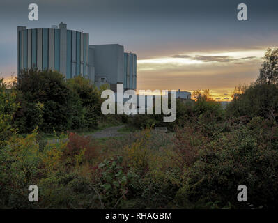 Un tramonto dietro Oldbury Centrale Nucleare con arbusti in primo piano Foto Stock