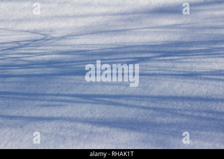 Neve invernale texture paesaggio astratto sullo sfondo di un albero ombre sulla neve dal basso angolo luce solare Foto Stock