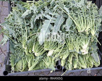 Box di una gustosa varietà di broccoli verdi chiamato BROCCOLO FIOLARO di Creazzo una piccola città nel Nord Italia Foto Stock