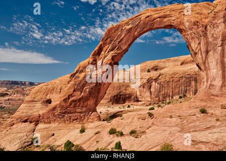 Arco di Corona, Moab, Utah, Stati Uniti d'America, Nord America arco di corona, Moab, Utah, USA, Nordamerika Foto Stock