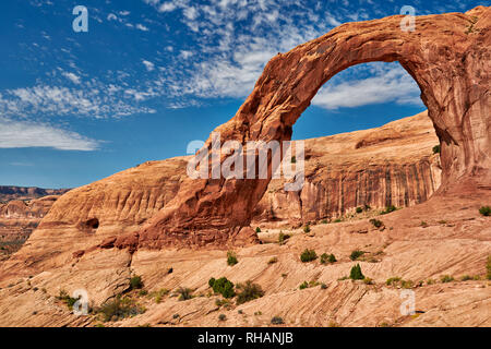 Arco di Corona, Moab, Utah, Stati Uniti d'America, Nord America arco di corona, Moab, Utah, USA, Nordamerika Foto Stock