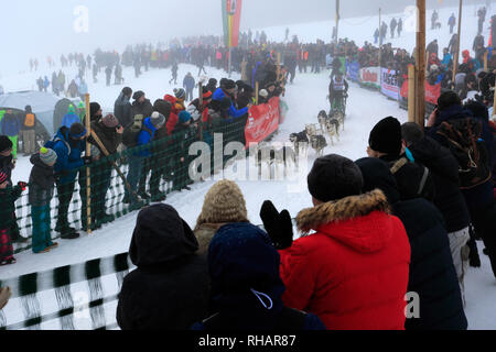 Internazionale di corsa di cani da slitta a Todtmoos village, Waldshut, Baden-Wuerttemberg, Germania, Europa, 26th-27th Gennaio 2019 Foto Stock