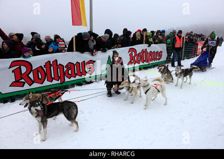 Internazionale di corsa di cani da slitta a Todtmoos village, Waldshut, Baden-Wuerttemberg, Germania, Europa, 26th-27th Gennaio 2019 Foto Stock