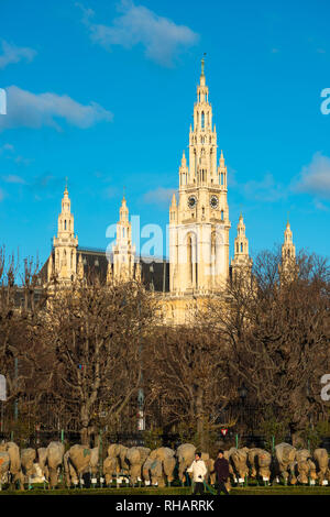 Neues Rathaus (Municipio) edificio, Vienna, Austria. Foto Stock