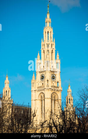 Neues Rathaus (Municipio) edificio, Vienna, Austria. Foto Stock