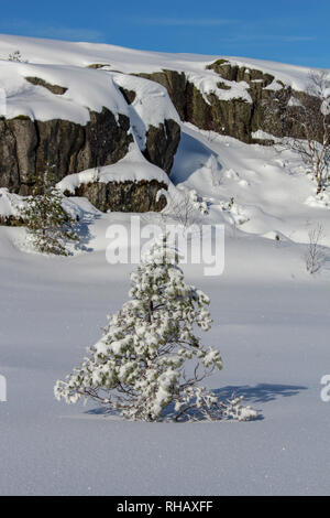 Escursionismo in inverno in Norvegia, escursione a Prekestolen in inverno, Stavanger, Norvegia Foto Stock