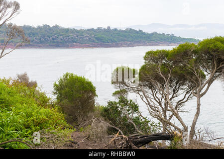 Vista mare in Ben Boyd National Park, NSW, Australia Foto Stock