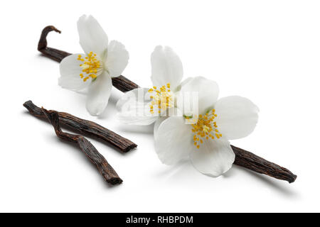 Baccelli di vaniglia con fiori di gelsomino, isolato su sfondo bianco Foto Stock