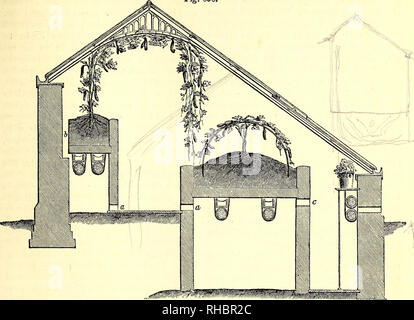 . Il libro del giardino. Il giardinaggio. Il cetriolo e melone case. 465 rafforzare il tetto. Entrambi i bordi sono in fondo è supportato sul marciapiede, supportato su muri in mattoni, che inoltre che è previsto per il necessario formare i lati dei letti, mentre il drenaggio del compost. Lungo la Fig. 658. frontale è posizionato un bel ripiano in pietra, sup- portato su colonne di ferro, in cui un flusso e la tubazione di ritorno è posto; e su questo scaffale, fragole, fagiolini, &amp;c. sono cresciuti. I pavimenti dei passaggi, come tutti quelli in questi giardini sono pavimentati con pavimentazione di pietra. La ventilazione è accuratamente Foto Stock