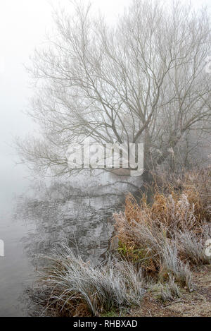 Un terribilmente freddo inverno mattina a Colwick Park di NOTTINGHAM, NOTTINGHAMSHIRE REGNO UNITO Inghilterra Foto Stock